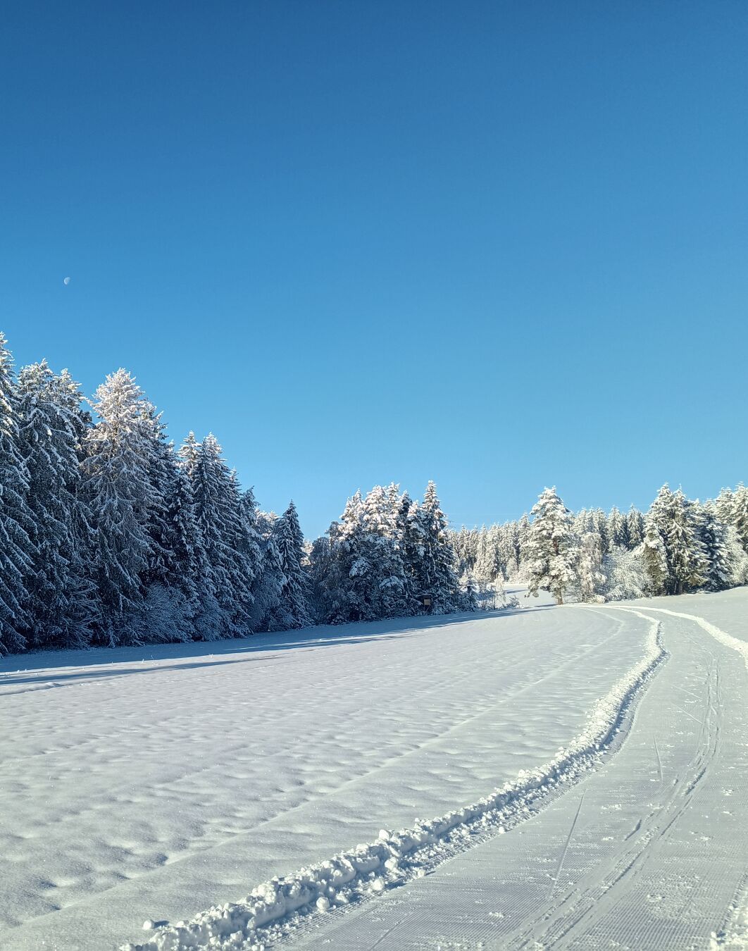 DE: Mond am blauen Himmel über den Schneebedeckten Tannen mit einer Ski-Loipen im Vordergrund
EN: Moon in the blue sky over the snow-covered fir trees with a ski trail in the foreground