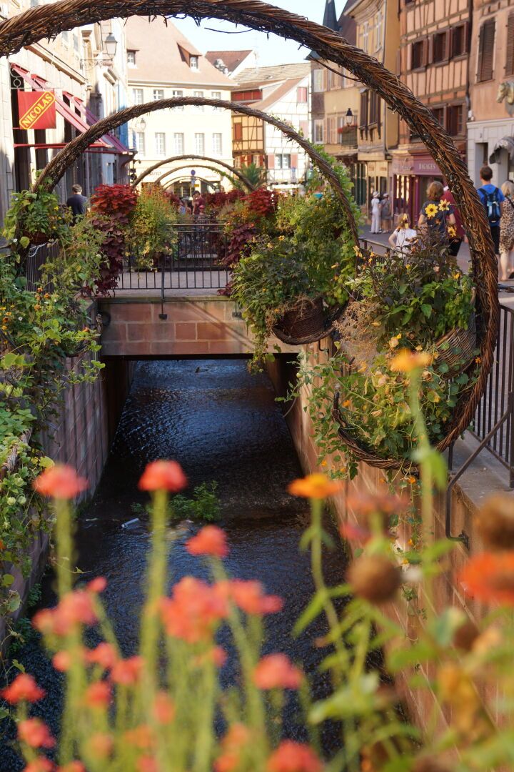 Flowers in the front with a water in the middle of a street guarded by flowers left and right as well bridges and palatal arch over the water.