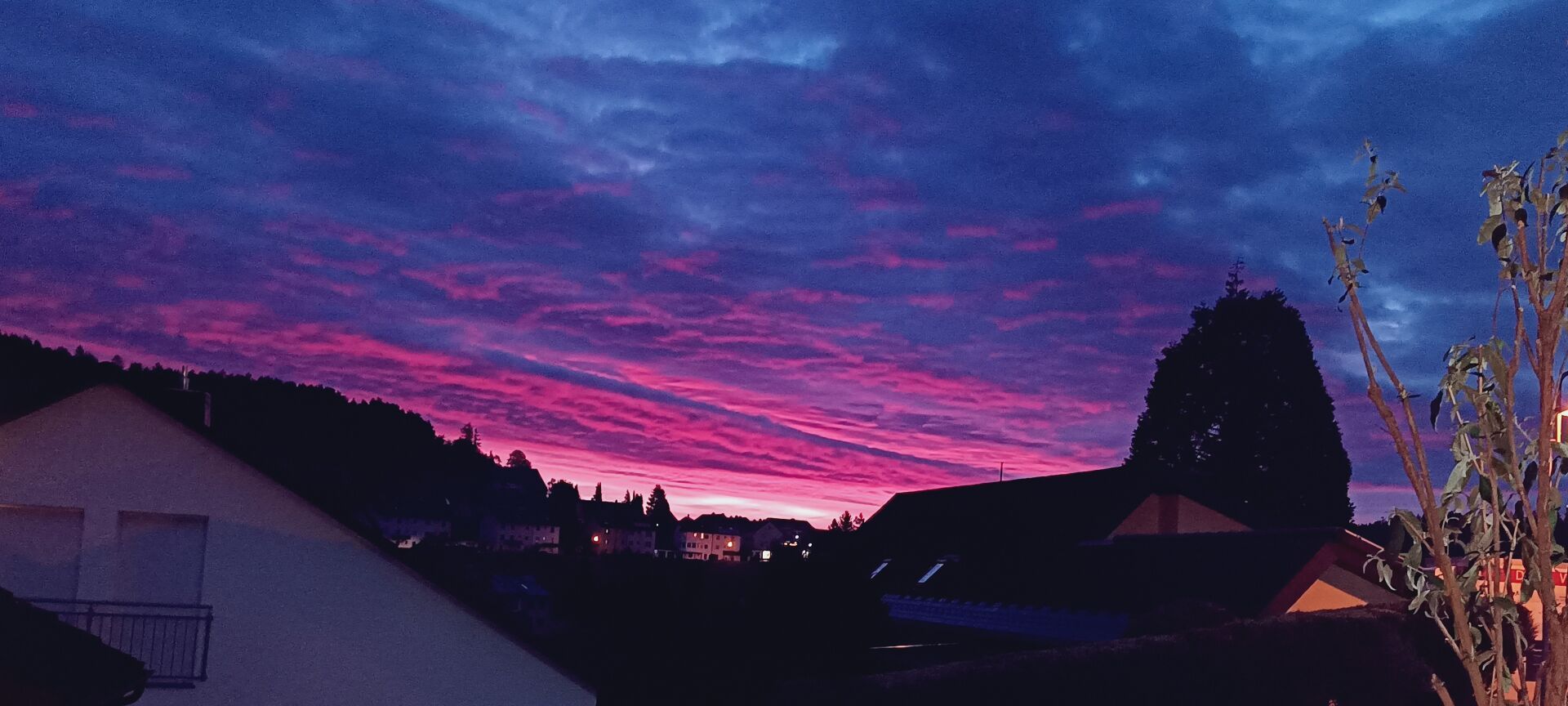 Abendrot am Horizont hinter den Wald. Im vordergrund durch die Straßenbeleuchtung angeläuchtete Häuser und rechts ein Strauch.